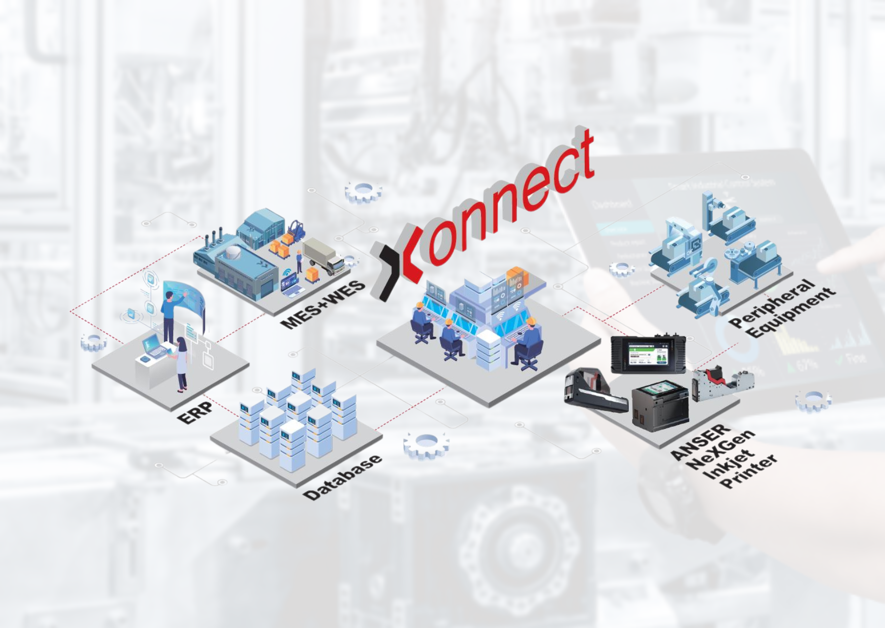 xonnet